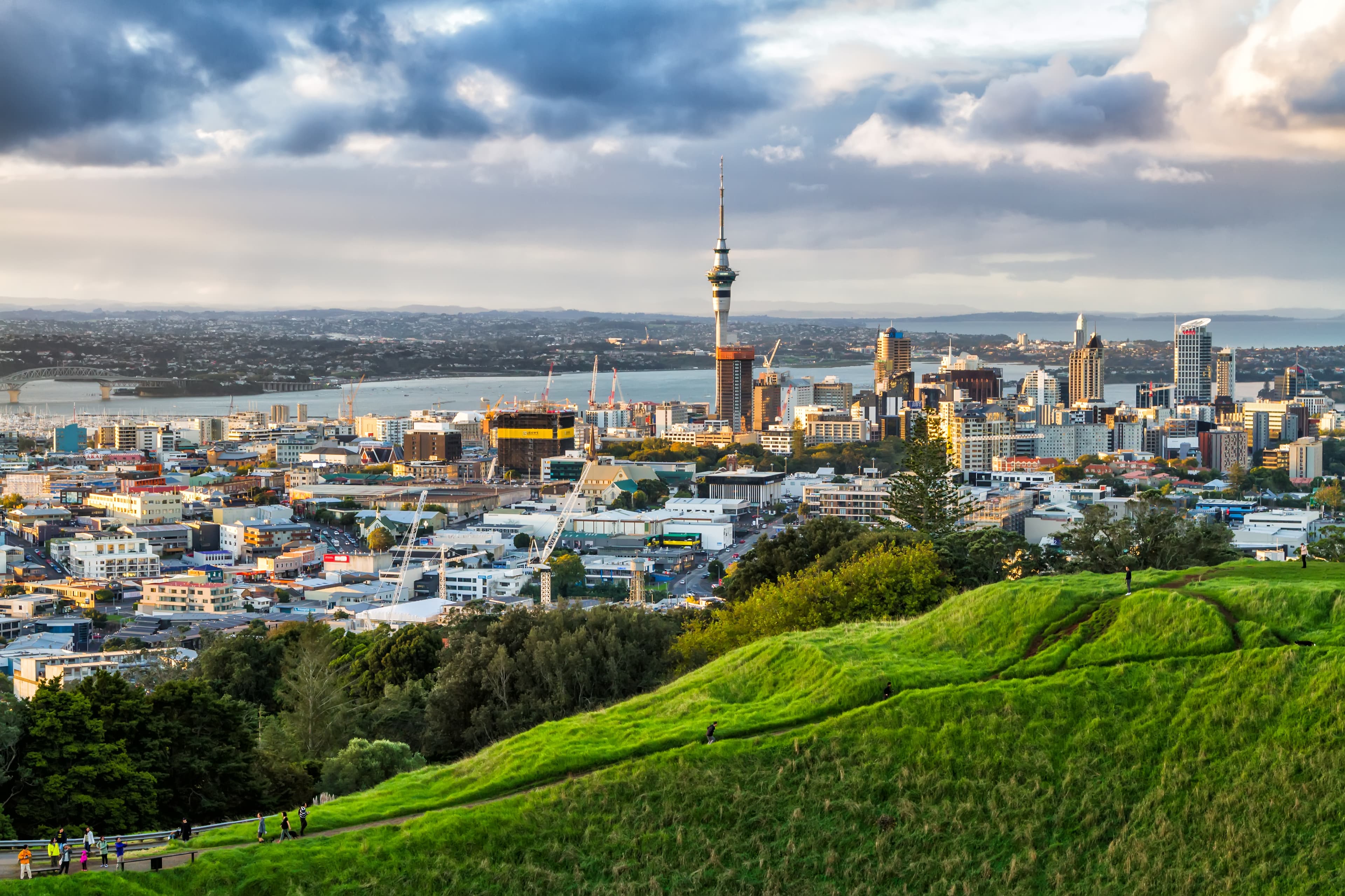 AUCKLAND office
